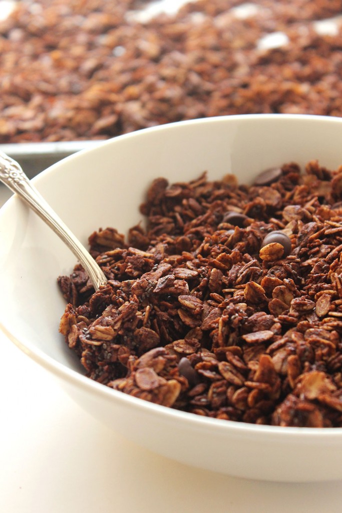 Skinny Dark Chocolate Chia Granola