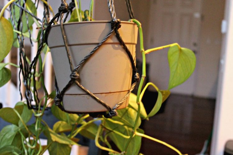 DIY Macrame Hanging Basket TGIF This Grandma is Fun