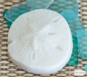 Sand Dollar Soap