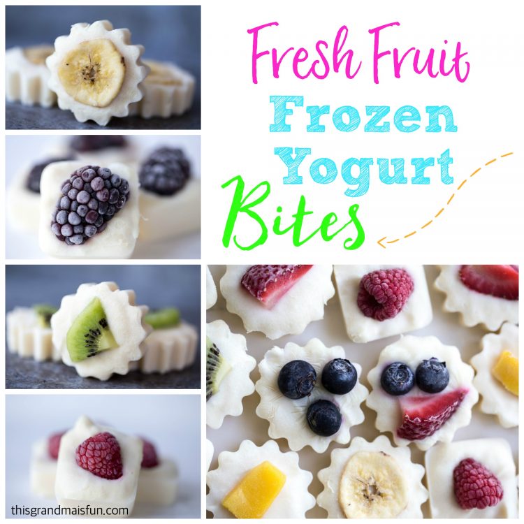 Made with Greek Yogurt these Frozen Yogurt bites are super refreshing. Just take a look at all the varieties of fresh fruit that you can use!