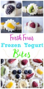 Made with Greek Yogurt these Frozen Yogurt bites are super refreshing. Just take a look at all the varieties of fresh fruit that you can use!