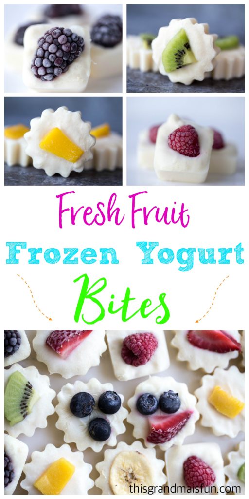 Made with Greek Yogurt these Frozen Yogurt bites are super refreshing. Just take a look at all the varieties of fresh fruit that you can use!