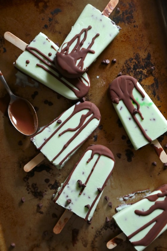 chocolate-chip-mint-greek-yogurt-pops