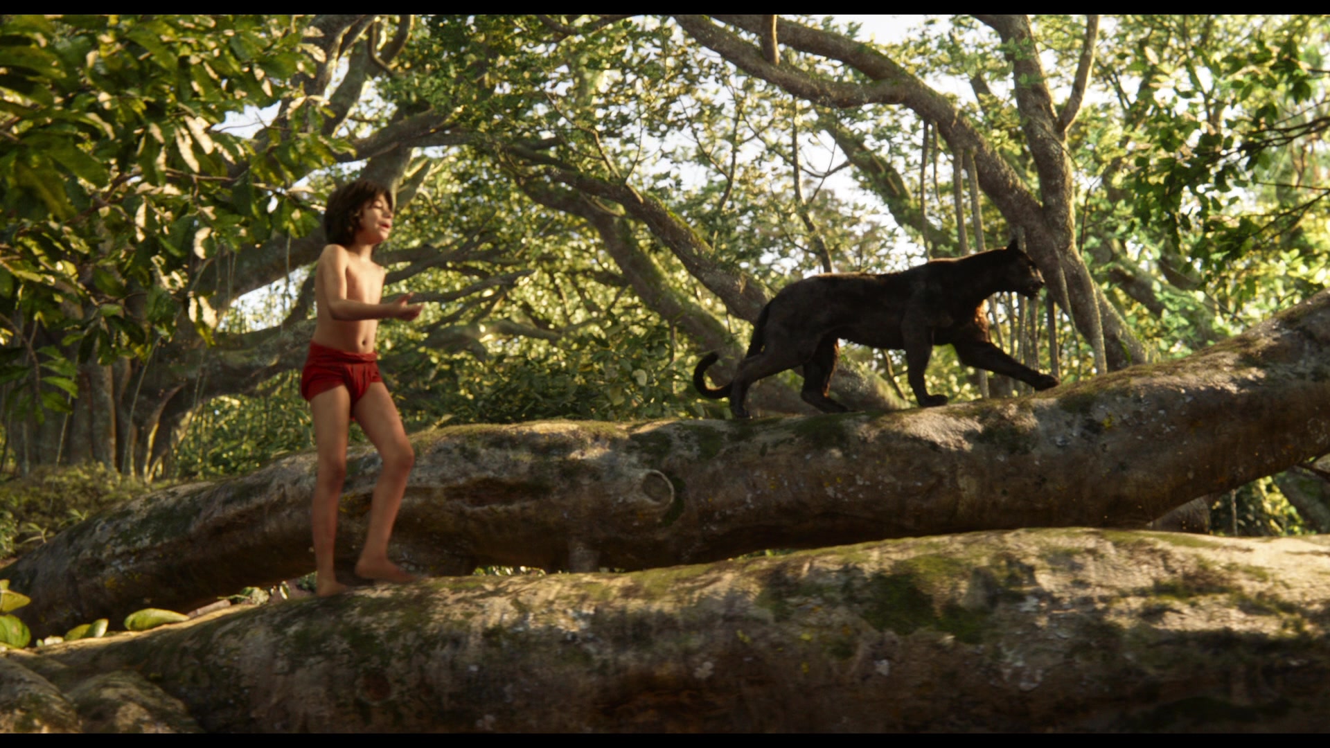 Jungle_Book_2016_Screenshot_0085