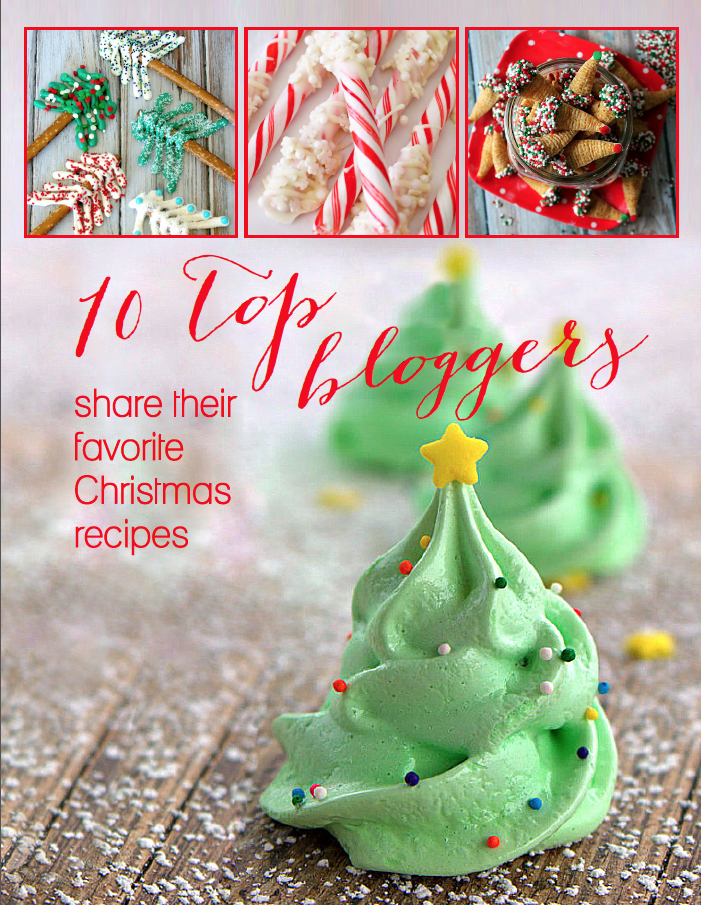 Your kitchen will create show-stopping recipes with these new holiday e-book recipe series: 10 Top Bloggers Share Their Favorite Recipes. The four books include Halloween, Thanksgiving, Fall, and Christmas recipes to welcome the holidays and excite your family’s bellies.