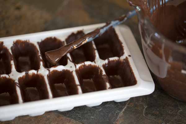 Chocolate Christmas Candies Recipe: Ice Cube Tray Chocolates