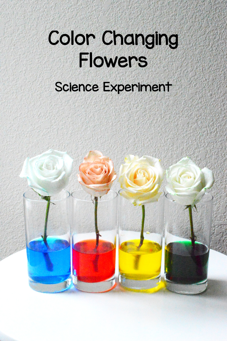 25 Amazing Kid-Approved Science Projects - TGIF - This Grandma is Fun
