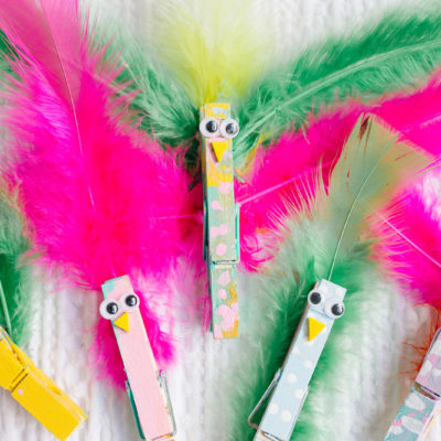 Clothes Pin Birds Craft