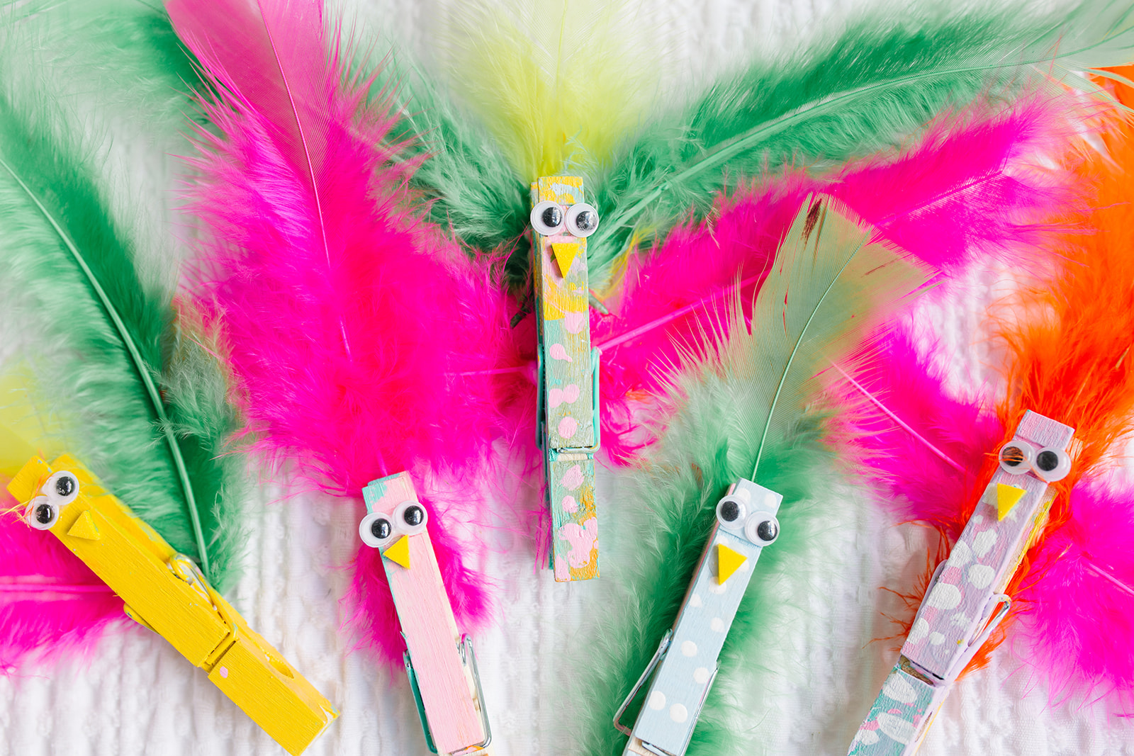 Clothes Pin Birds Craft