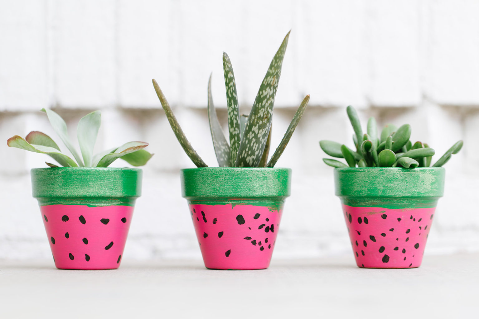 Watermelon Flower Pots TGIF This Grandma is Fun