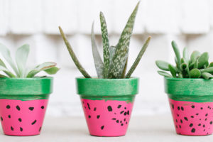 Watermelon Flower Pots