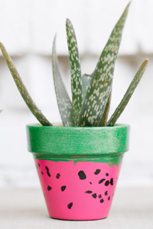 Watermelon Flower Pots