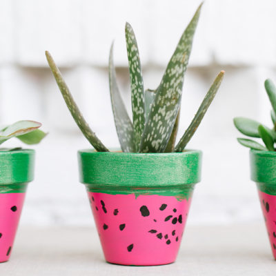 Watermelon Flower Pots