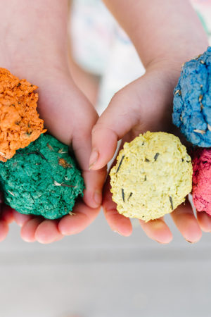 Flower Garden Seed Bombs