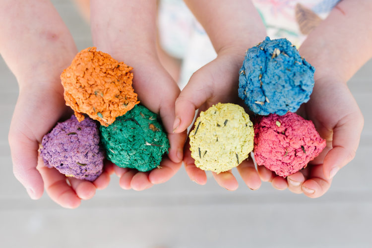 Flower Garden Seed Bombs