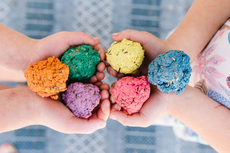 Flower Garden Seed Bombs