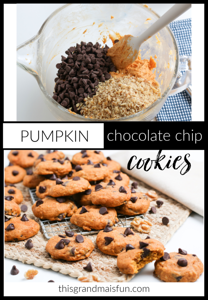 Pumpkin Chocolate Chip Cookies