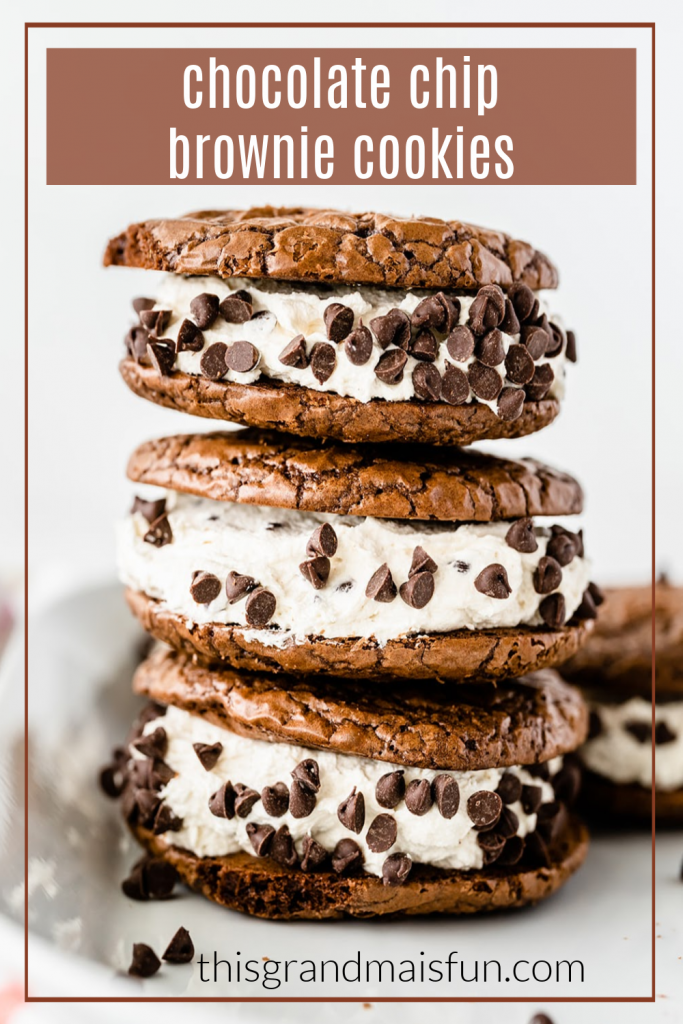 Chocolate Chip Brownie Cookies