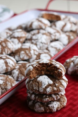 Chocolate Crinkle Cookies