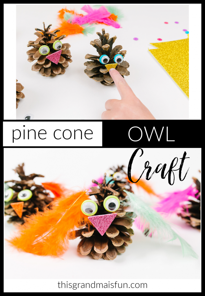 Keep kids busy while your Thanksgiving dinner cooks with this Pine Cone Owl Craft. Great as a toddler activity too!