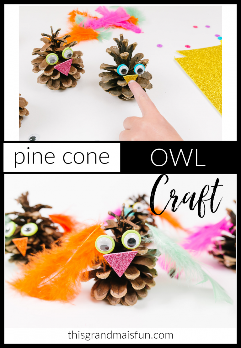 Pine Cone Owl Craft Tgif This Grandma Is Fun