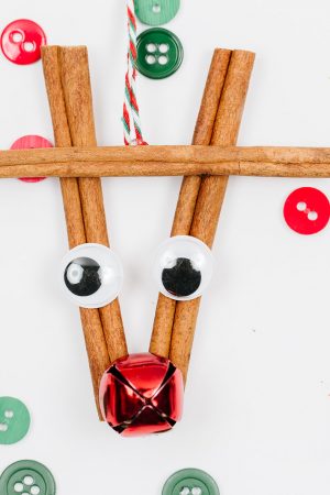 Cinnamon Stick Ornaments