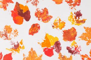 Fall Leaf