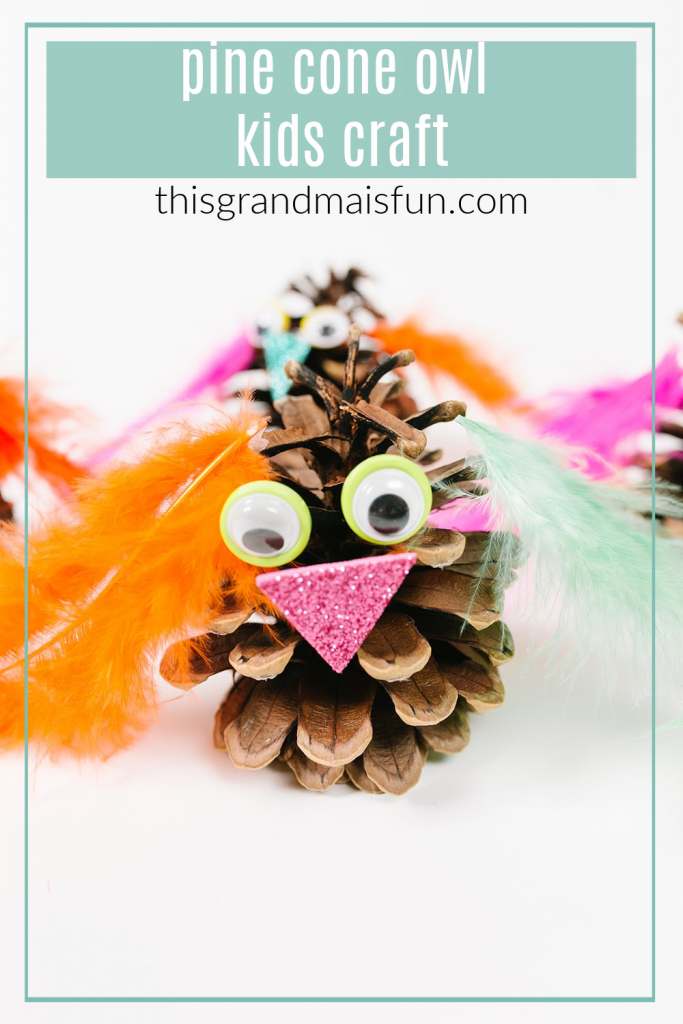 Pine Cone Owl Craft