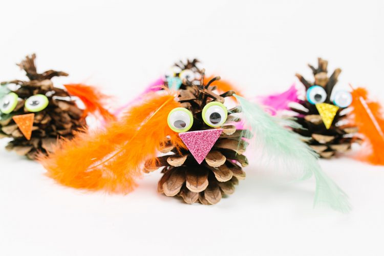 Pine Cone Owl Craft