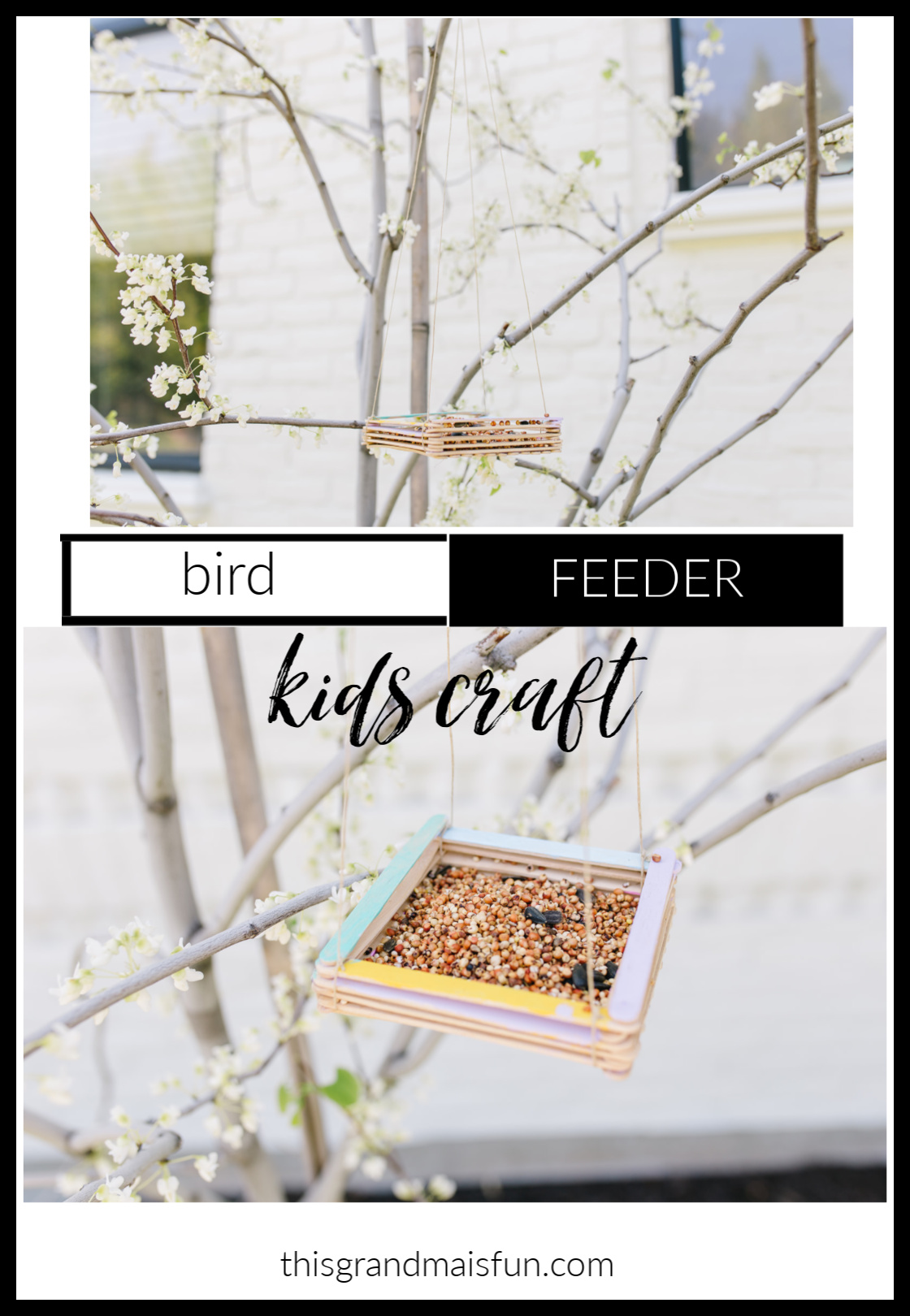 January is the perfect time to make our Easy Bird Feeder Craft. Birds have the hardest time finding something to eat in February. It's true! So make yours today!