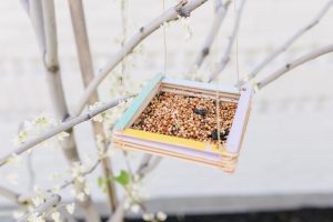 January is the perfect time to make our Easy Bird Feeder Craft. Birds have the hardest time finding something to eat in February. It's true! So make yours today!