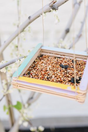 January is the perfect time to make our Easy Bird Feeder Craft. Birds have the hardest time finding something to eat in February. It's true! So make yours today!