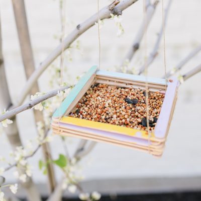 Easy Bird Feeder Craft