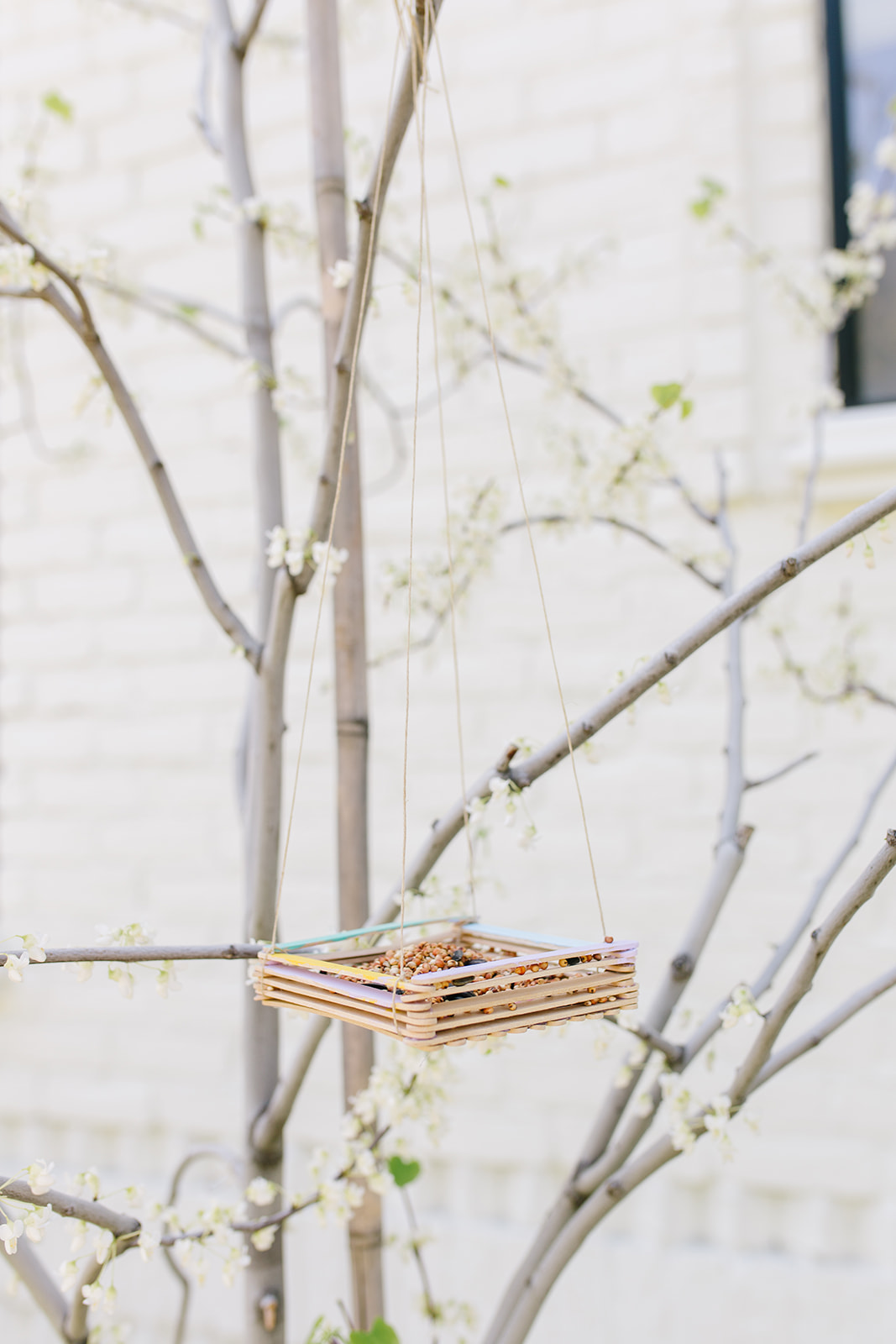 January is the perfect time to make our Easy Bird Feeder Craft. Birds have the hardest time finding something to eat in February. It's true! So make yours today!