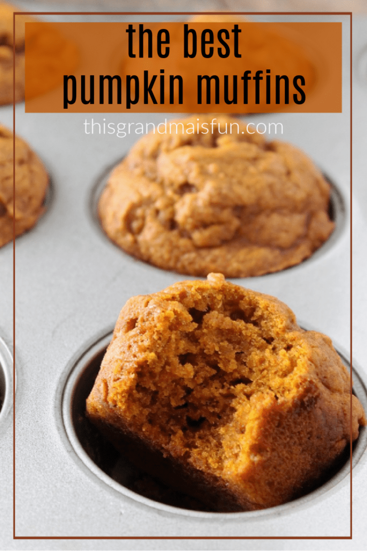 Pumpkin Muffins in Baking Tin With A Bite On One Muffin