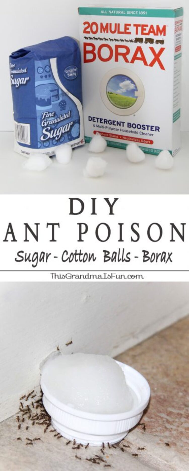 1 Poison Ant DIY Collage Image Box of Borax next to bog of sugar, bowl of homemade ant killer surrounded by ants