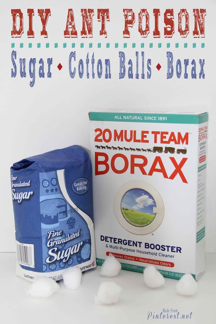 2 Poison Ant DIY Box of Borax next to bog of sugar