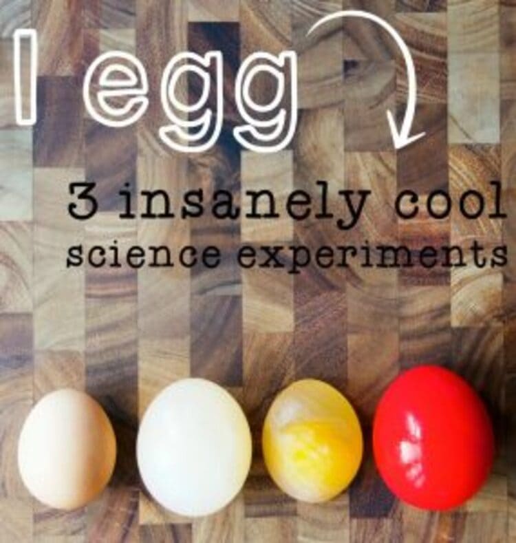 science project egg experiments, four eggs arranged one next to another
