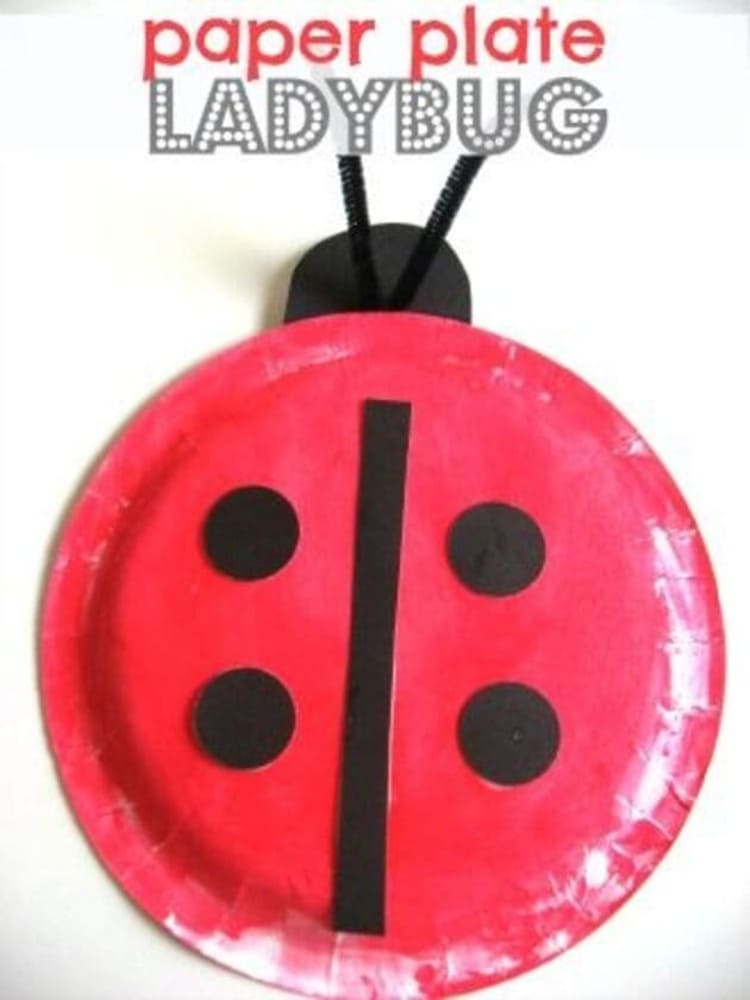 paper plate craft ladybug on white background