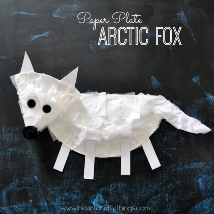 paper plate craft white arctic fox on a black surface