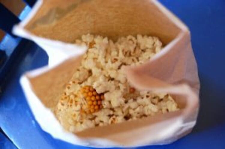 science project popcorn experiment, popcorn in a bag