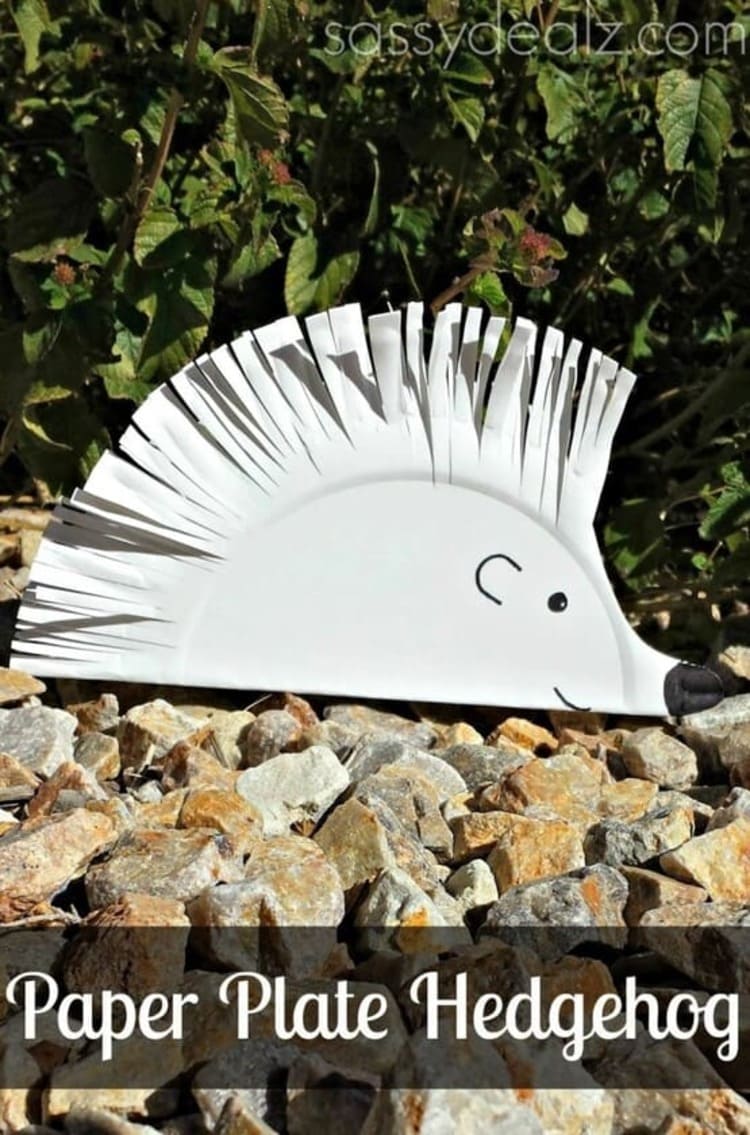 paper plate craft white hedgehog smiling and cure on rocks in the nature