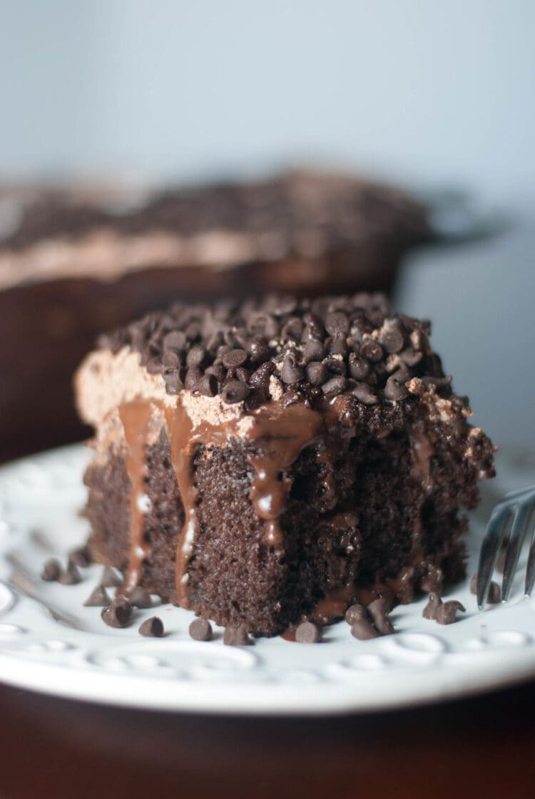 Delicious chocolate pudding poke cake atop vintage white plate with mini chocolate chips and fudge. 