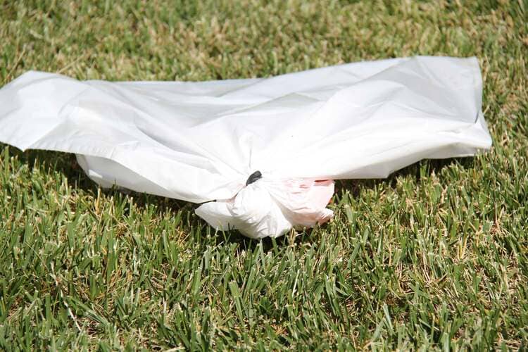 Cleaning BBQ grills the magic way - grills put in a white sealed bag on a grass