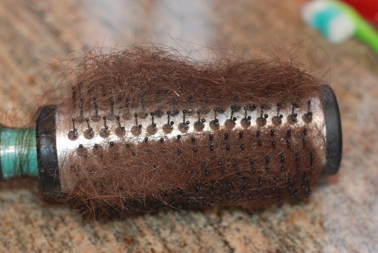 clean your hairbrush in minutes, a round hairbrush with lots of old hair buildup on it