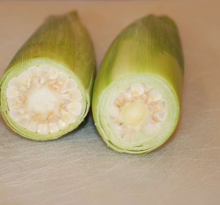 Fresh corn with husk: end chopped off