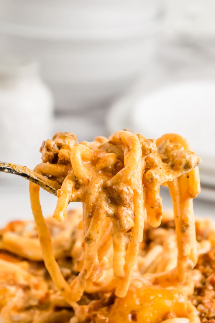 million dollar spaghetti meal, a close-up photo of spaghetti on a fork